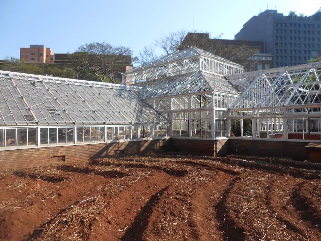 Joubert Park Greenhouse Johannesburg The Heritage Register
